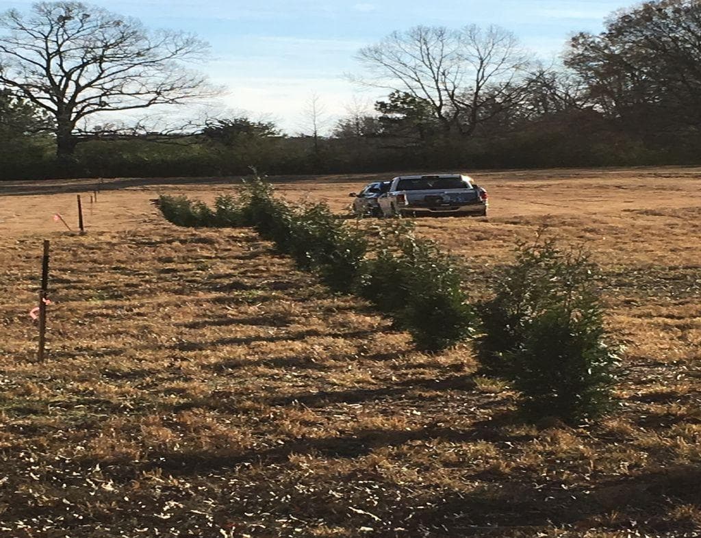 Home Site Preparation Lamar county