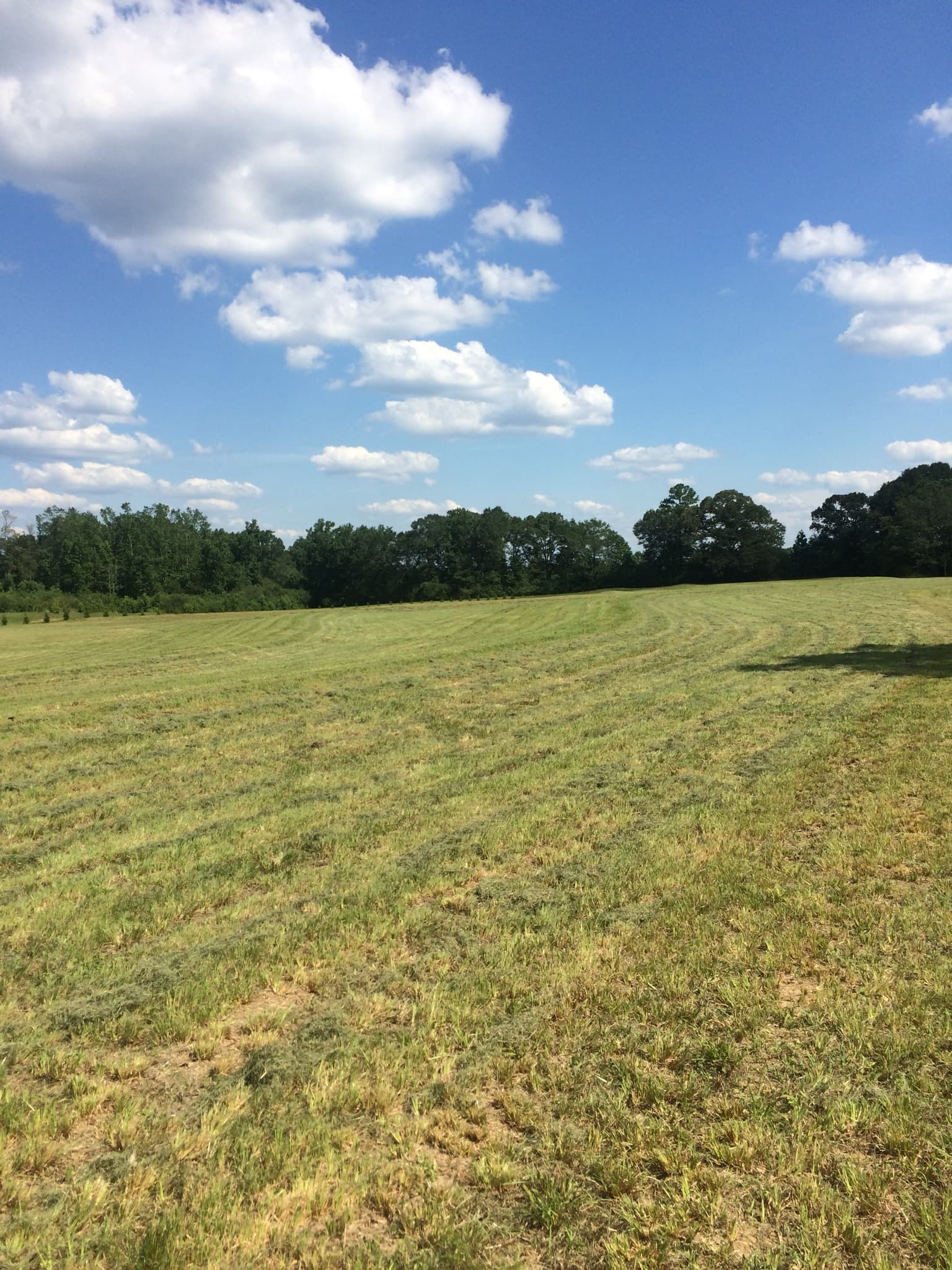 High Ground Land Solutions — planted field for wildlife habitat